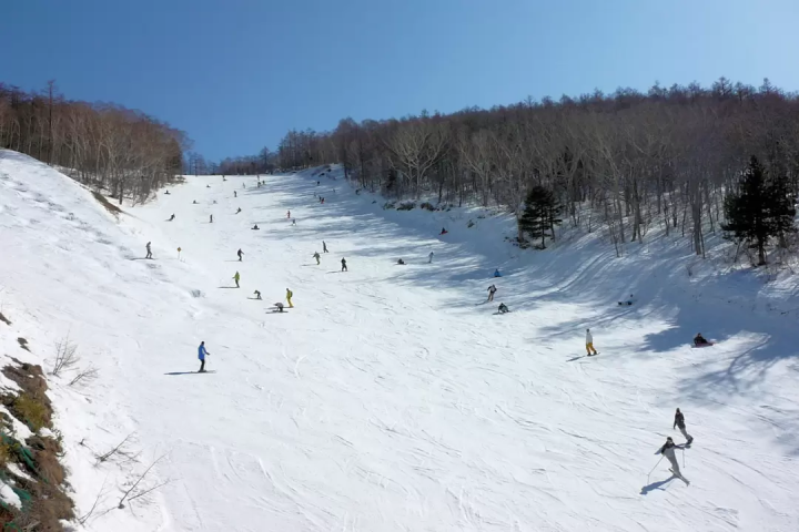 東京出發，10天滑雪之旅！包含行程！