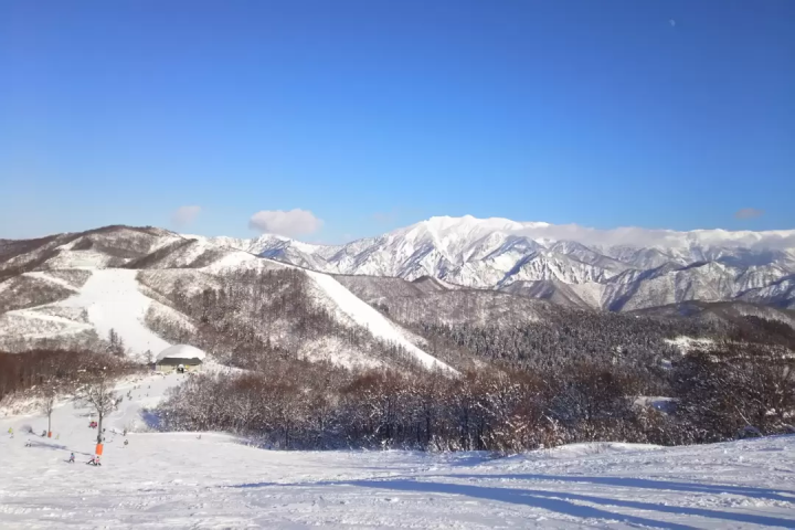 東京出發的滑雪巴士之旅 | 早晚均有發車，並提供帶翻譯導遊的旅行團
