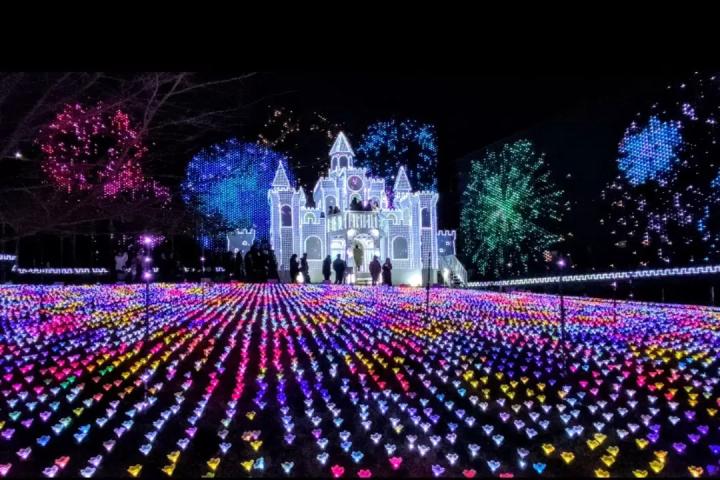 東京出發的滑雪巴士之旅 | 早晚均有發車，並提供帶翻譯導遊的旅行團