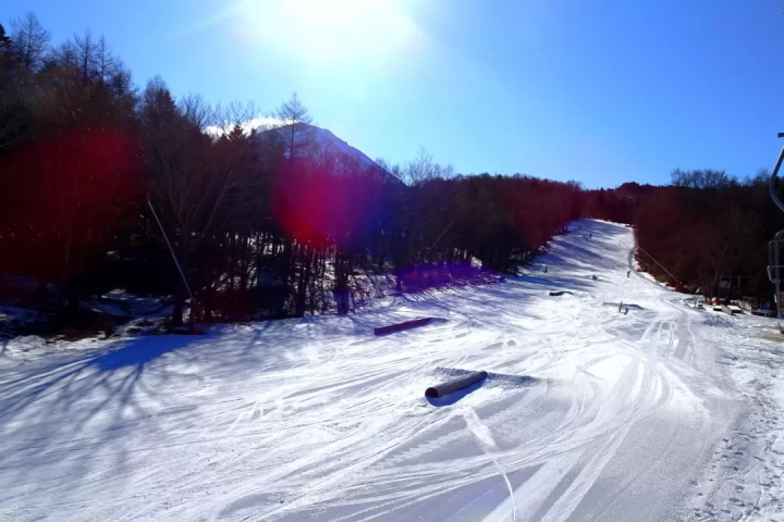 One-day ski trips from Tokyo | Recommended ski resorts and tours by access