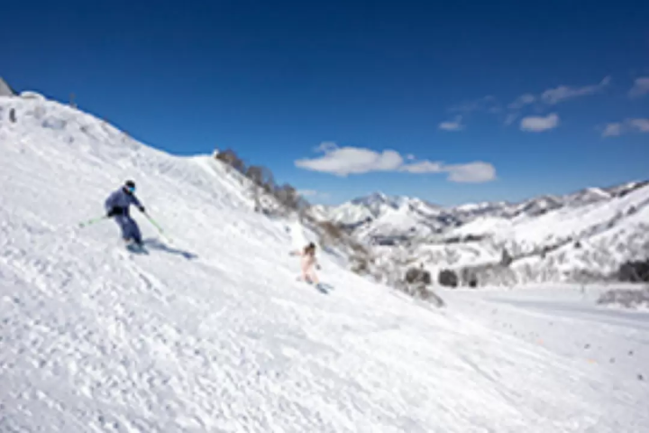 One-day ski trips from Tokyo | Recommended ski resorts and tours by access