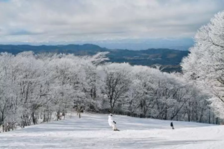 One-day ski trips from Tokyo | Recommended ski resorts and tours by access