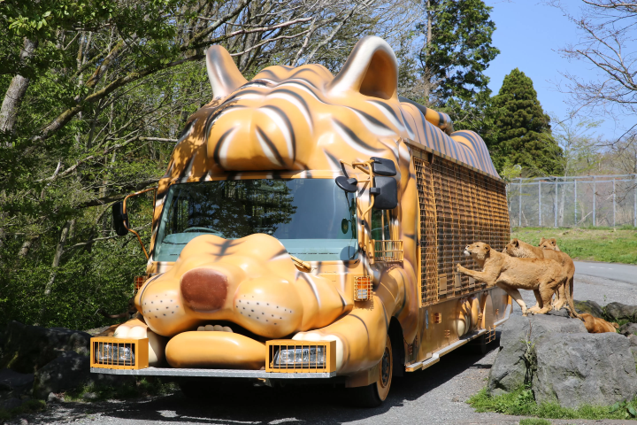 Complete guide to purchasing tickets for Fuji Safari Park! A complete explanation of ticket types and how to buy them