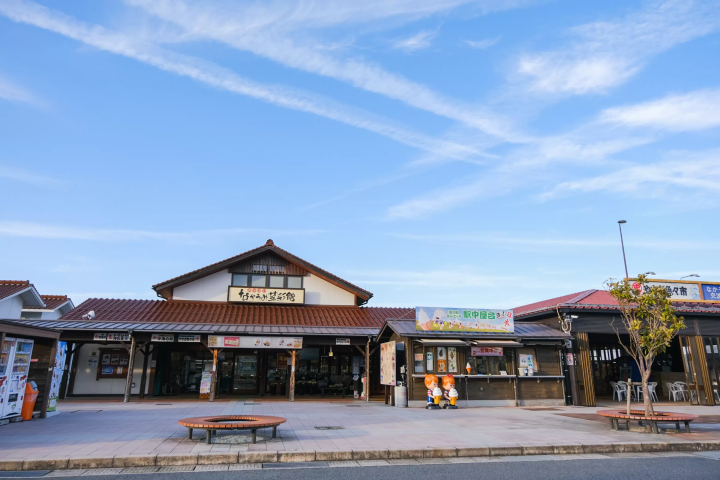 山陰秘境「鷺之湯溫泉」奢華大人旅——沉浸名湯與安來節故鄉的深度探索記