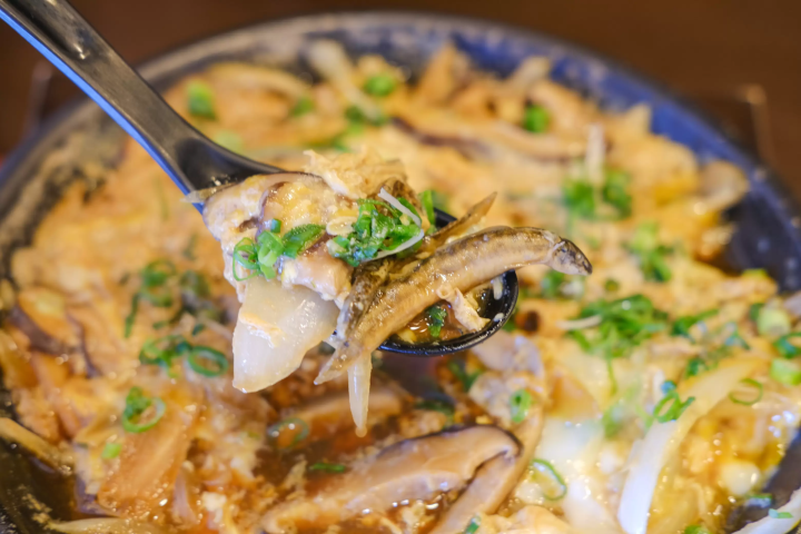 山陰秘境「鷺之湯溫泉」奢華大人旅——沉浸名湯與安來節故鄉的深度探索記