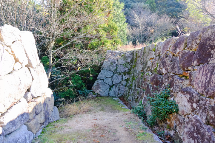 山陰秘境「鷺之湯溫泉」奢華大人旅——沉浸名湯與安來節故鄉的深度探索記