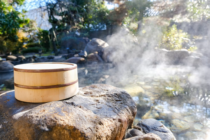 山陰秘境「鷺之湯溫泉」奢華大人旅——沉浸名湯與安來節故鄉的深度探索記