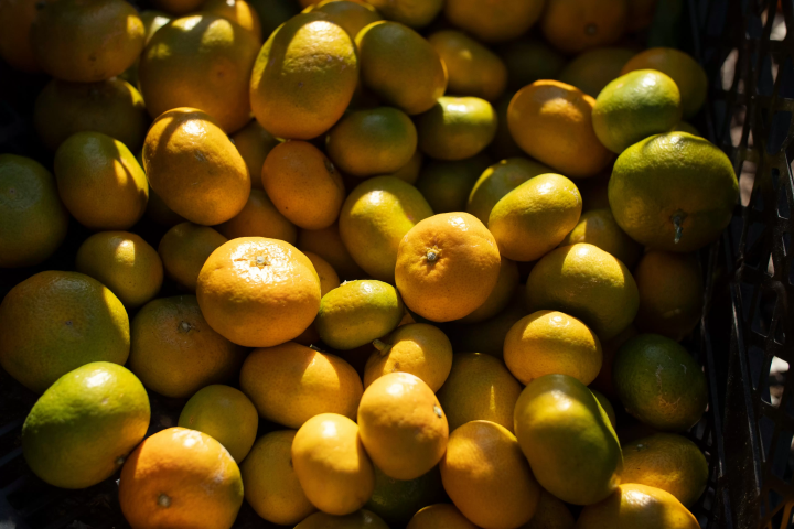 日本冬天必吃美食推薦｜鍋物、關東煮到暖心甜點