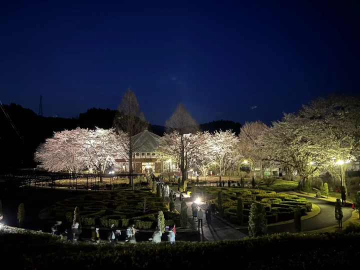 [군마현 나카노조 노조] 봄 여행 가이드: 천 그루의 복숭아나무와 유서 깊은 시마 온천