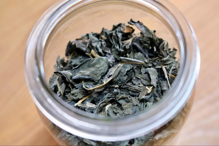 말린 인디고 잎으로 전통적인 일본 색상을 만듭니다. 