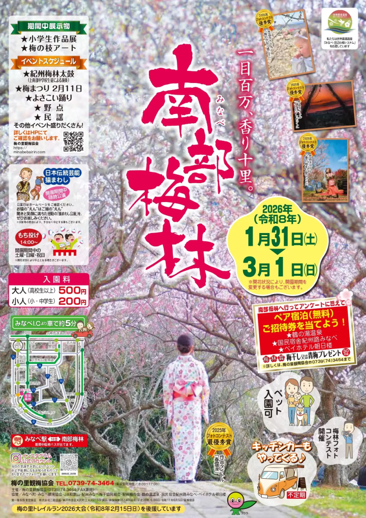 【Spring 2026】 "The Scent of Plum Blossoms!" Plum Groves in Wakayama Prefecture Blooming Soon!
