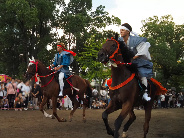 2026 is the Year of the Horse! Pray for good luck and success at Oura Shrine in Okayama Prefecture