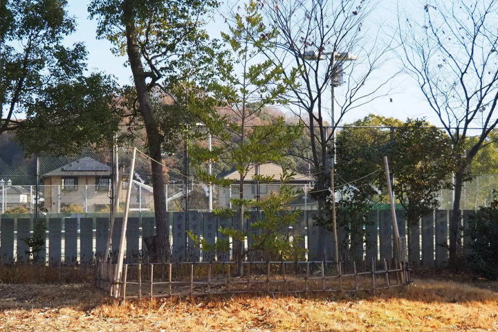 2026 is the Year of the Horse! Pray for good luck and success at Oura Shrine in Okayama Prefecture