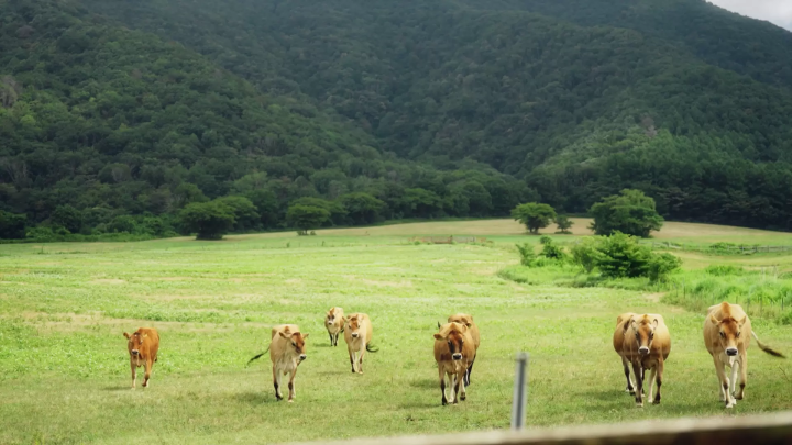 Okayama Outdoor Feature Articles| Enjoy nature experiences from stunning views of the Seto Inland Sea to cycling and stargazing