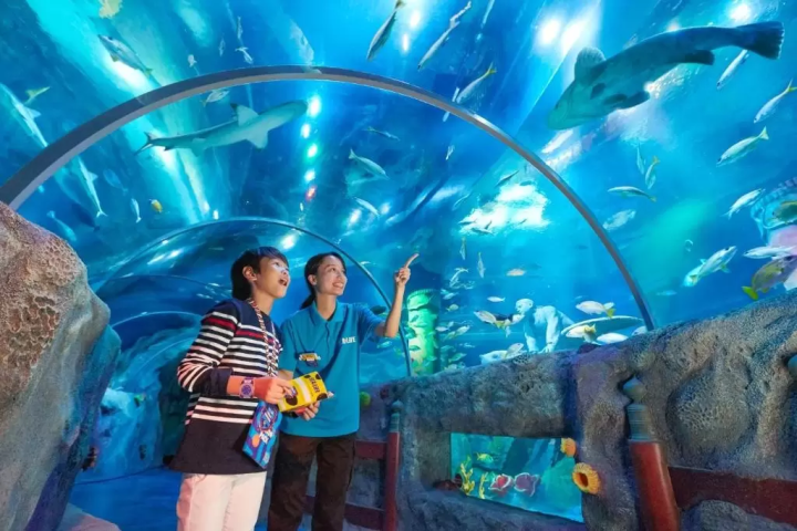 sealife名古屋 水族館