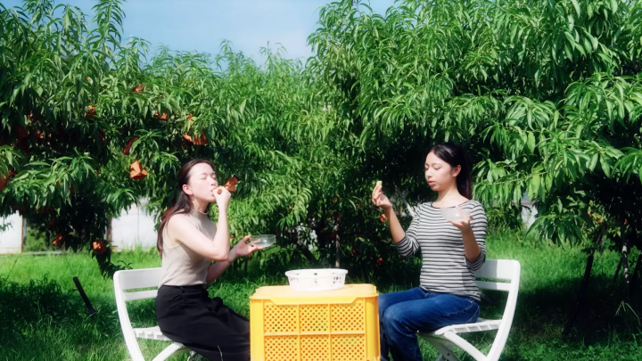 岡山フルーツ特集｜美味しい白桃・マスカットが味わえるおすすめ観光農園と収穫体験