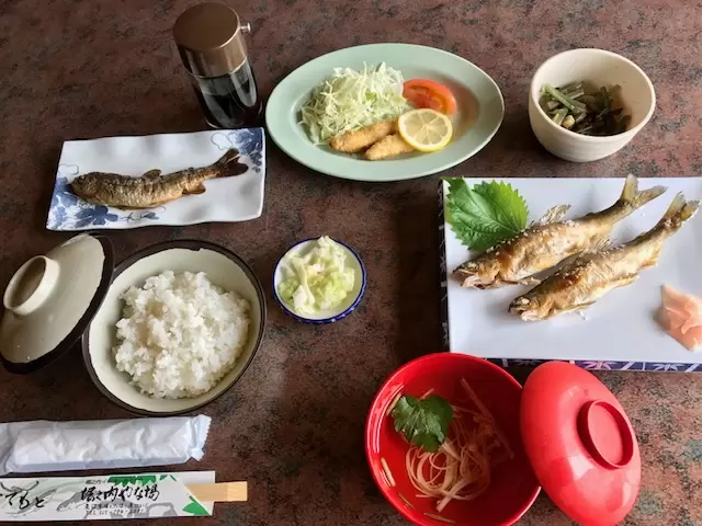 新潟縣內首屈一指的百合產地ー魚沼 1 萬株百合齊放！「月岡公園」百合花田盛開