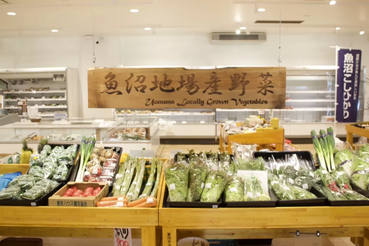 新潟縣內首屈一指的百合產地ー魚沼 1 萬株百合齊放！「月岡公園」百合花田盛開