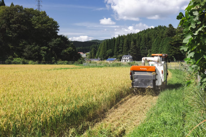 関谷醸造:故郷への想いが生んだ、愛知の銘酒