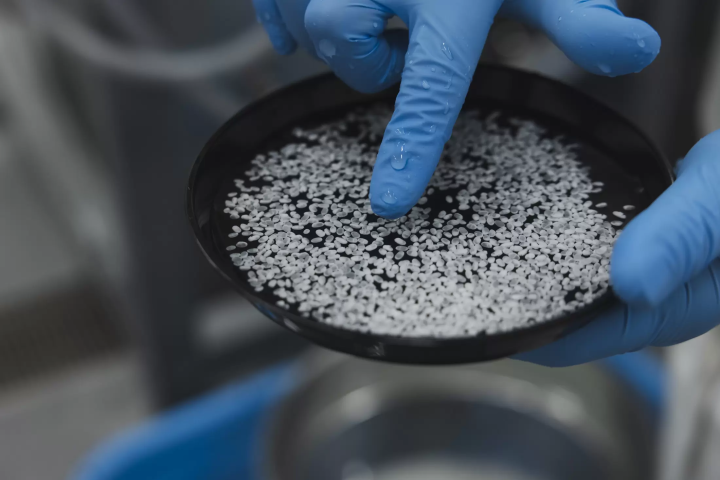 関谷醸造:故郷への想いが生んだ、愛知の銘酒