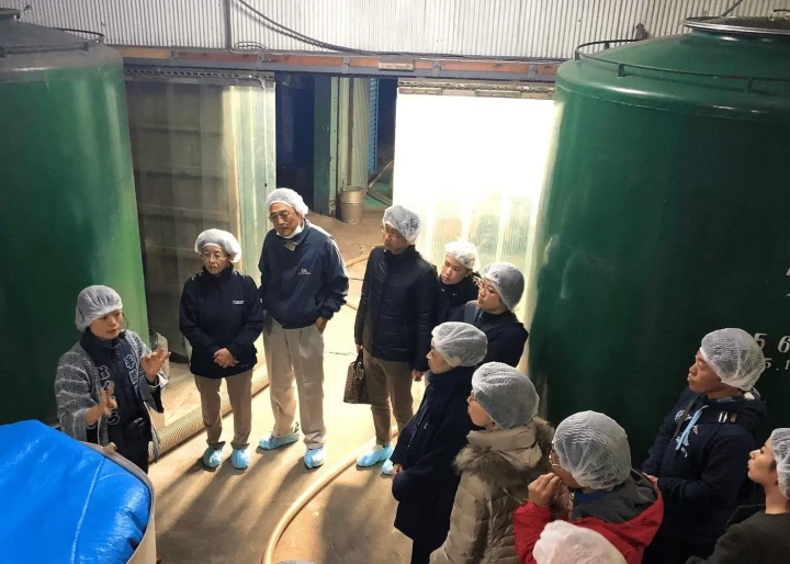 [50 minutes by car from Nagoya] Experience "sake and culture" in Tokoname