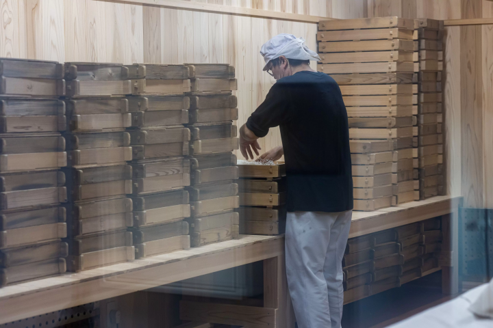 [50 minutes by car from Nagoya] Experience "sake and culture" in Tokoname