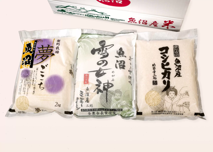 新潟縣內首屈一指的百合產地ー魚沼 1 萬株百合齊放！「月岡公園」百合花田盛開