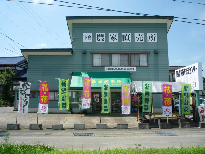 新潟縣內首屈一指的百合產地ー魚沼 1 萬株百合齊放！「月岡公園」百合花田盛開