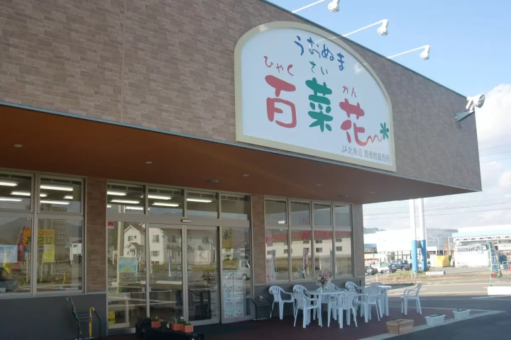 新潟縣內首屈一指的百合產地ー魚沼 1 萬株百合齊放！「月岡公園」百合花田盛開