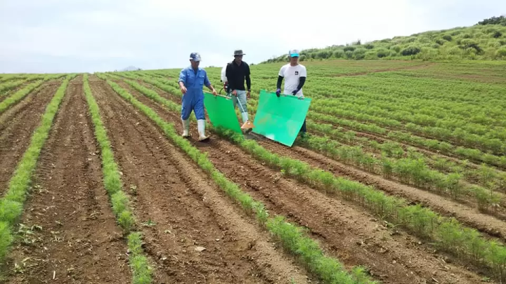 ไม่ใช่แค่ใบไม้เปลี่ยนสี! "สวนคอสมอส อุเอฮาระ" ทิวทัศน์ฤดูใบไม้ร่วงอันงดงาม อุโอนุมะ และสถานที่ท่องเที่ยวโดยรอบ พร้อมคู่มือแนะนำสถานที่ท่องเที่ยวและอาหารรสเลิศ