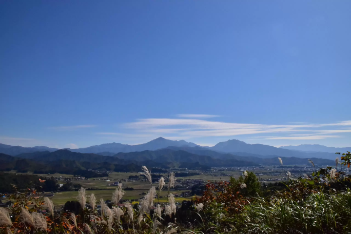 ไม่ใช่แค่ใบไม้เปลี่ยนสี! "สวนคอสมอส อุเอฮาระ" ทิวทัศน์ฤดูใบไม้ร่วงอันงดงาม อุโอนุมะ และสถานที่ท่องเที่ยวโดยรอบ พร้อมคู่มือแนะนำสถานที่ท่องเที่ยวและอาหารรสเลิศ