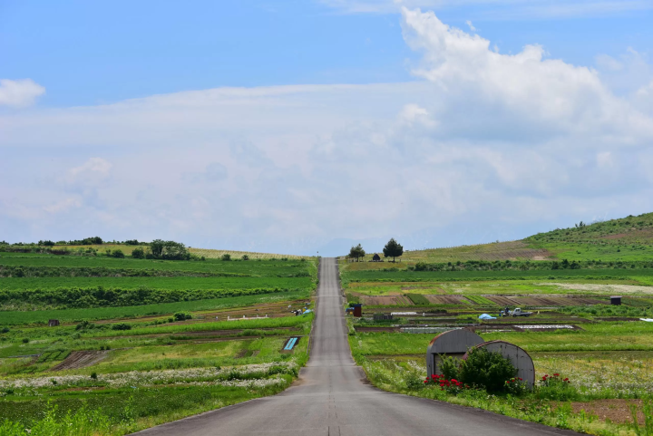 ไม่ใช่แค่ใบไม้เปลี่ยนสี! "สวนคอสมอส อุเอฮาระ" ทิวทัศน์ฤดูใบไม้ร่วงอันงดงาม อุโอนุมะ และสถานที่ท่องเที่ยวโดยรอบ พร้อมคู่มือแนะนำสถานที่ท่องเที่ยวและอาหารรสเลิศ