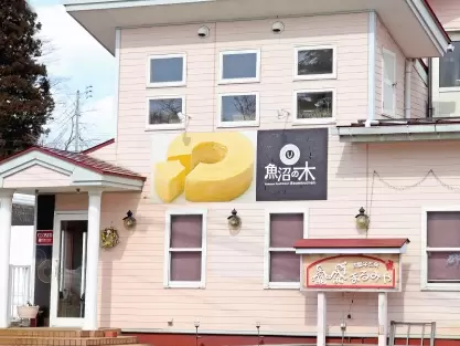 ไม่ใช่แค่ใบไม้เปลี่ยนสี! "สวนคอสมอส อุเอฮาระ" ทิวทัศน์ฤดูใบไม้ร่วงอันงดงาม อุโอนุมะ และสถานที่ท่องเที่ยวโดยรอบ พร้อมคู่มือแนะนำสถานที่ท่องเที่ยวและอาหารรสเลิศ