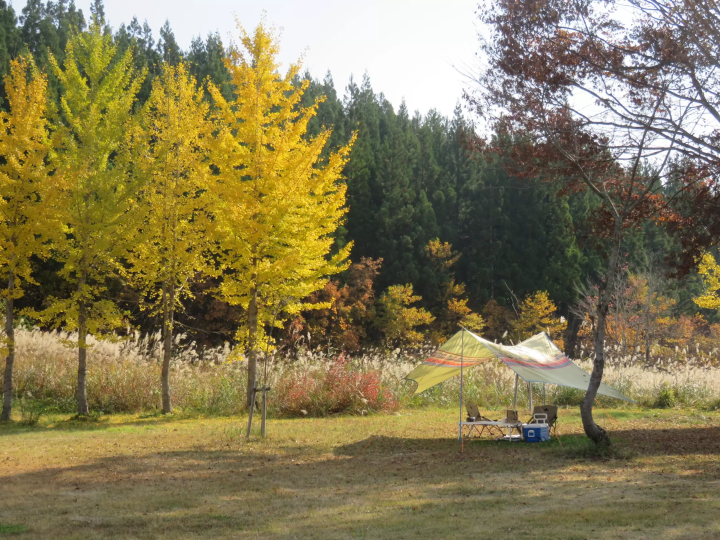 ไม่ใช่แค่ใบไม้เปลี่ยนสี! "สวนคอสมอส อุเอฮาระ" ทิวทัศน์ฤดูใบไม้ร่วงอันงดงาม อุโอนุมะ และสถานที่ท่องเที่ยวโดยรอบ พร้อมคู่มือแนะนำสถานที่ท่องเที่ยวและอาหารรสเลิศ