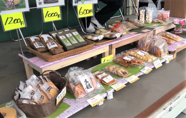 【魚沼的芝櫻】以越後三山為背景鋪展而開的粉紅地毯！花・綠・雪之里—芝櫻賞花指南