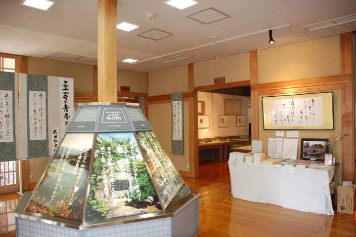 【魚沼的芝櫻】以越後三山為背景鋪展而開的粉紅地毯！花・綠・雪之里—芝櫻賞花指南