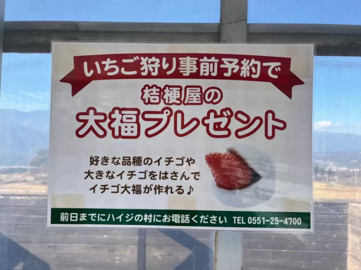 東京から2時間！ハイジの村でいちご狩り2026｜チョコ&練乳かけ放題と大福作り