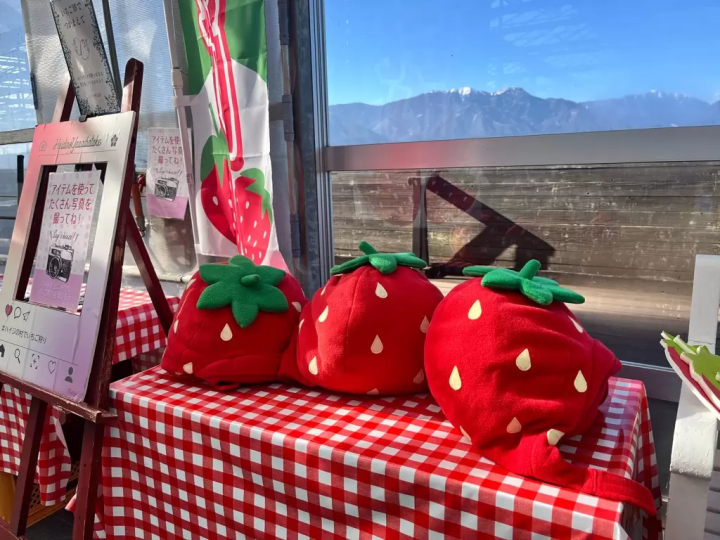 東京から2時間！ハイジの村でいちご狩り2026｜チョコ&練乳かけ放題と大福作り
