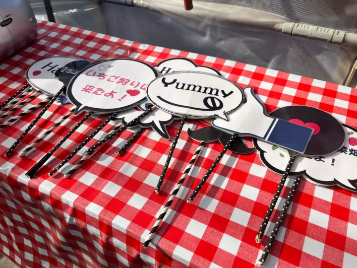 東京から2時間！ハイジの村でいちご狩り2026｜チョコ&練乳かけ放題と大福作り