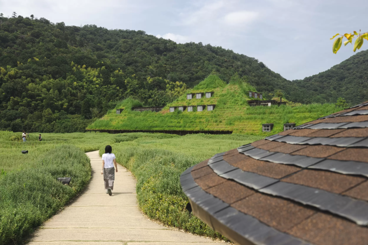 A Culinary Journey: Exploring Lake Biwa's Fermentation Culture
