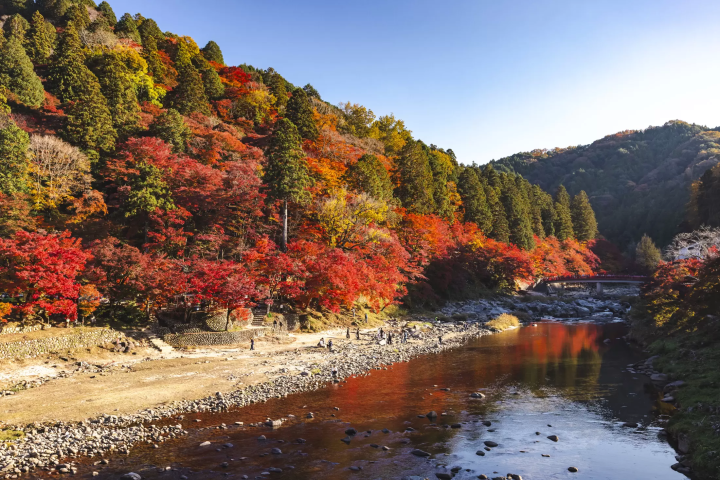 Beyond the Car Industry in Toyota: Fermented Foods, Scenic Sites, Crafts