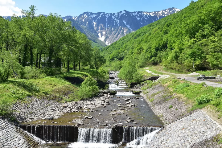 니가타 현 뒤쪽에 다다미 에서 무엇을 할까요? 어른과 아이 모두 즐길 수 있는 7가지 활동을 소개합니다.