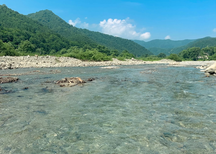 니가타 현 뒤쪽에 다다미 에서 무엇을 할까요? 어른과 아이 모두 즐길 수 있는 7가지 활동을 소개합니다.