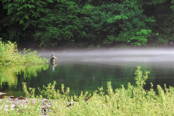 니가타 현 뒤쪽에 다다미 에서 무엇을 할까요? 어른과 아이 모두 즐길 수 있는 7가지 활동을 소개합니다.