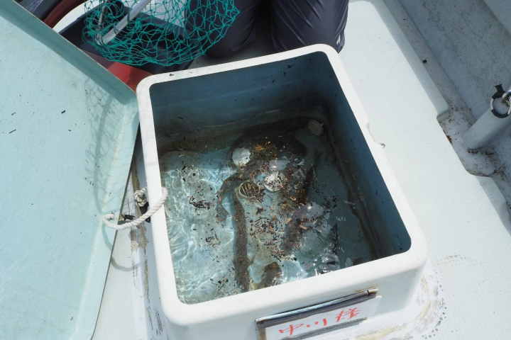 니가타 현 뒤쪽에 다다미 에서 무엇을 할까요? 어른과 아이 모두 즐길 수 있는 7가지 활동을 소개합니다.