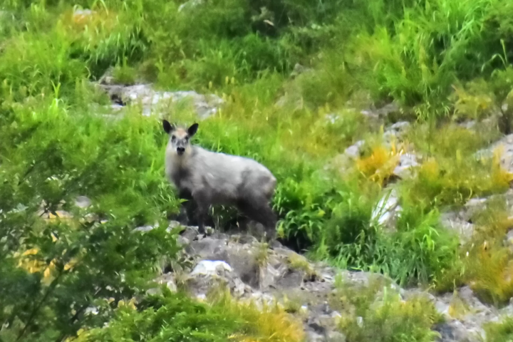 니가타 현 뒤쪽에 다다미 에서 무엇을 할까요? 어른과 아이 모두 즐길 수 있는 7가지 활동을 소개합니다.