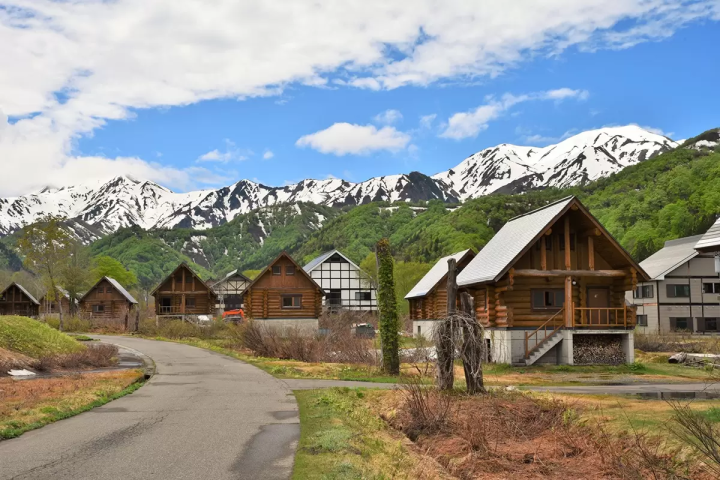 니가타 현 뒤쪽에 다다미 에서 무엇을 할까요? 어른과 아이 모두 즐길 수 있는 7가지 활동을 소개합니다.