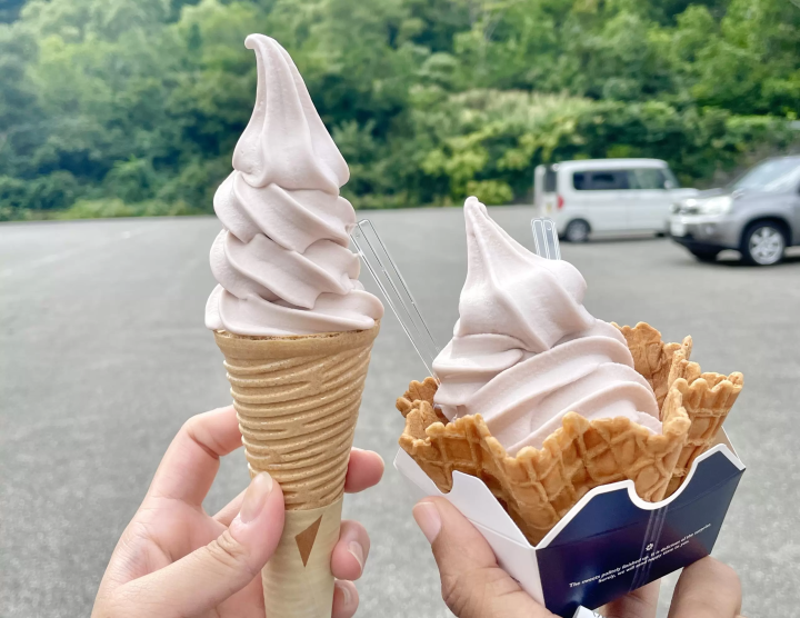 니가타 현 뒤쪽에 다다미 에서 무엇을 할까요? 어른과 아이 모두 즐길 수 있는 7가지 활동을 소개합니다.