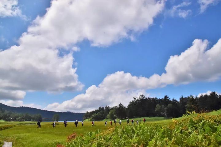 【尾瀨】歡迎前往日本的自然天堂！