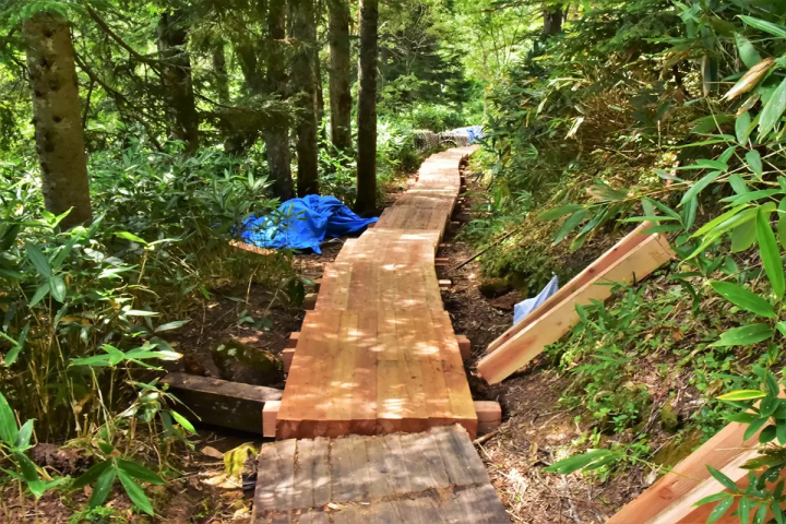 【尾瀨】歡迎前往日本的自然天堂!